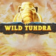 Wild Tundra icon